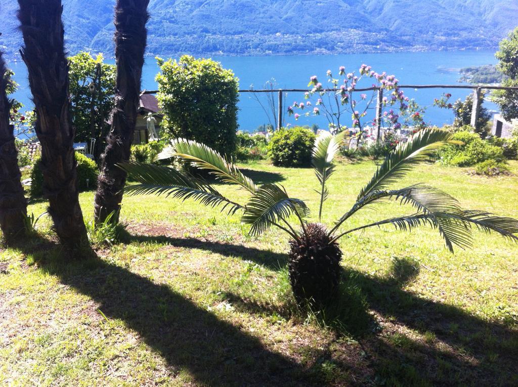 Sonnenstrahl Apartment Locarno Exterior photo